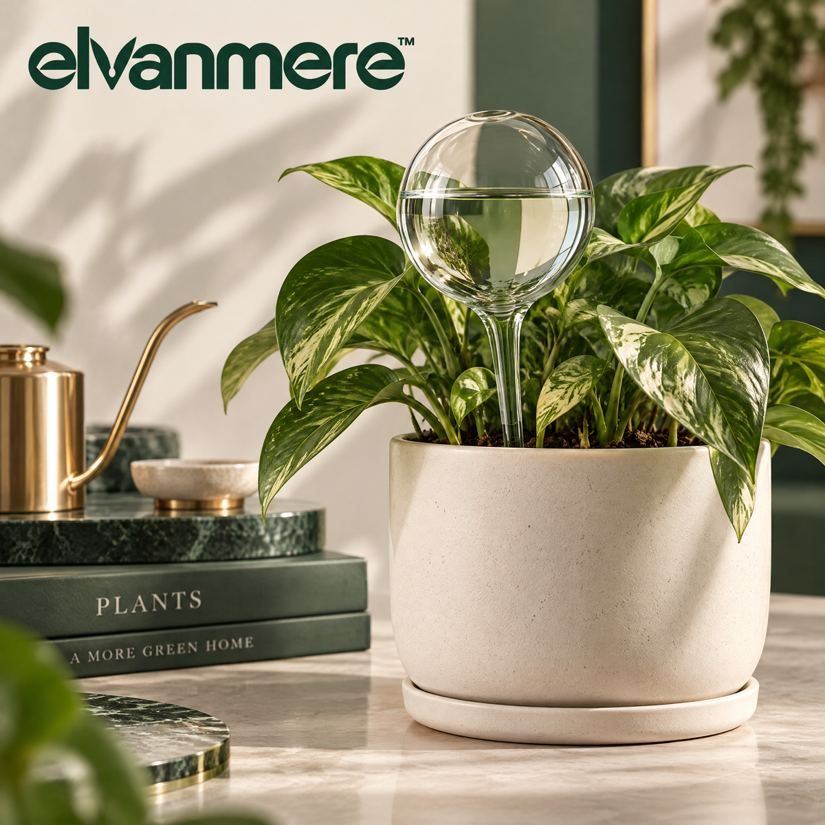 Elvanmere™ Self-Watering Glass Plant Globe